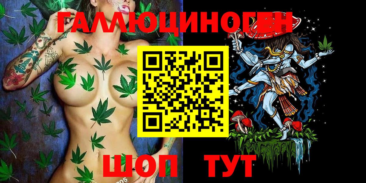 Галлюциногенные грибы Psilocybe  Вход с VPN  Нижнеудинск 